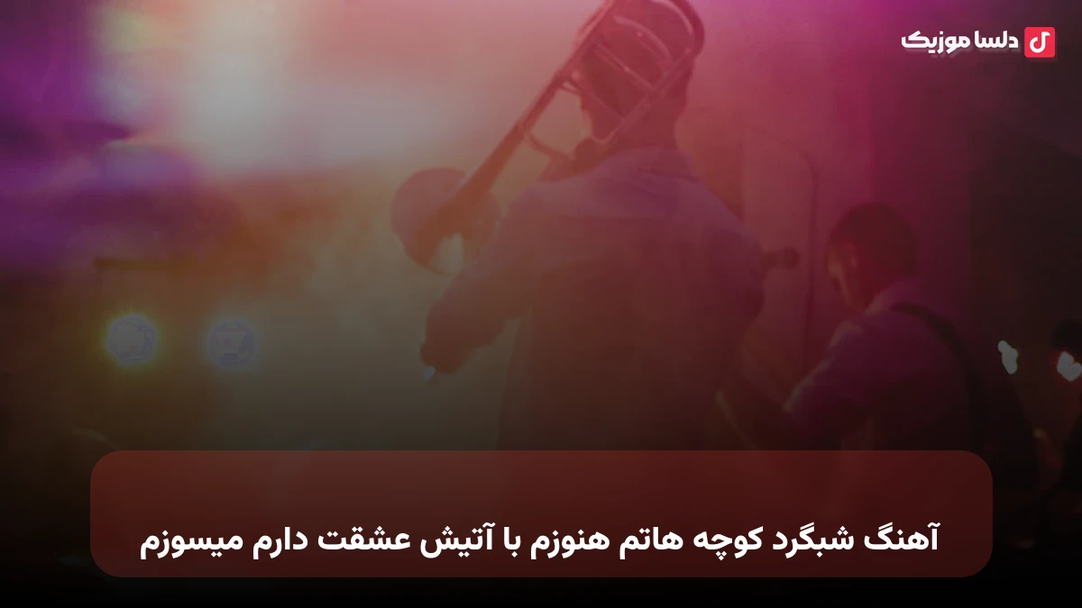  شبگرد کوچه هاتم هنوزم با آتیش عشقت دارم میسوزم صدای زن